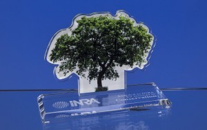 cgi-tree-cropped
